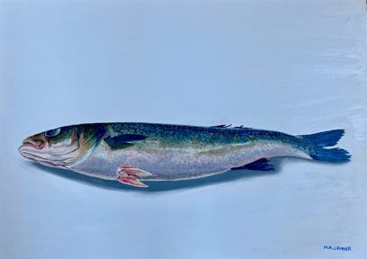 Branzino