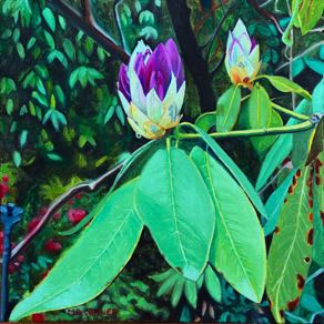 Rhododendron-Knospe