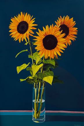 Sonnenblumen