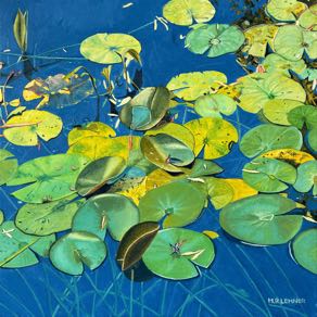 Seerosen ohne Seerose